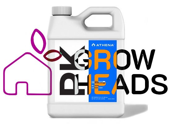 Athena Blended Line PK