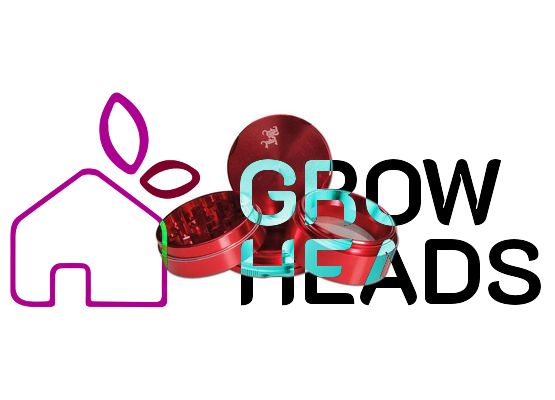 Black Leaf Grinder New Edge 4-tlg. 50mm rot