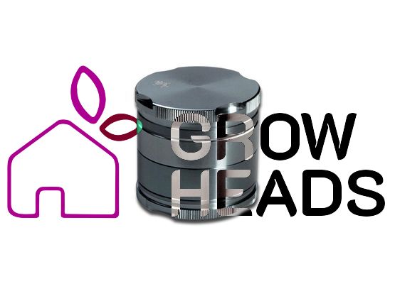 Black Leaf Ginder New Edge 4-tlg. 40mm grau