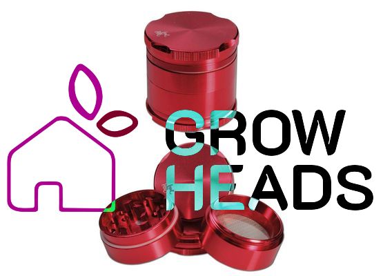 Black Leaf Ginder New Edge 4-tlg. 40mm rot