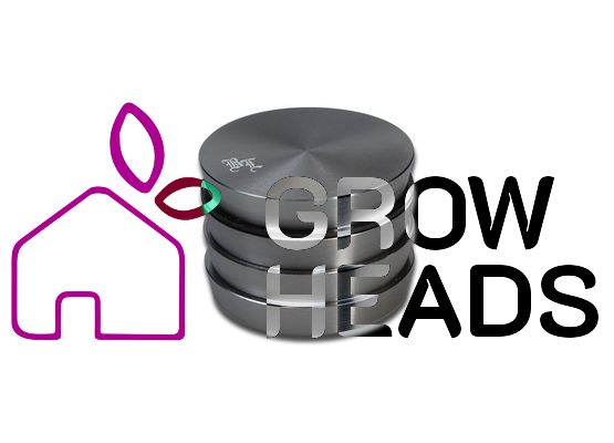 Black Leaf Stufen-Grinder 4-tlg. 55mm