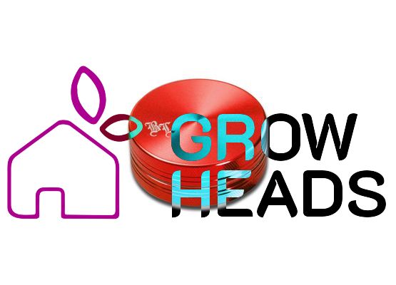 Black Leaf Alu-Grinder 2-tlg. anodisiert 40mm rot