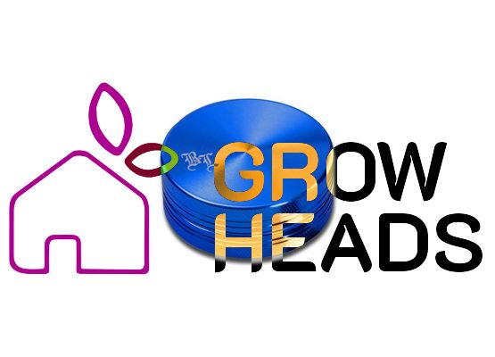 Black Leaf Alu-Grinder 2-tlg. anodisiert 40mm blau