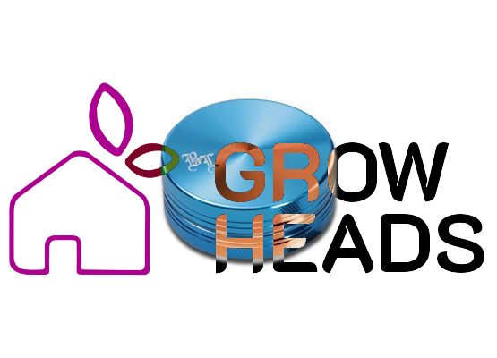 Black Leaf Alu-Grinder 2-tlg. anodisiert 40mm hellblau