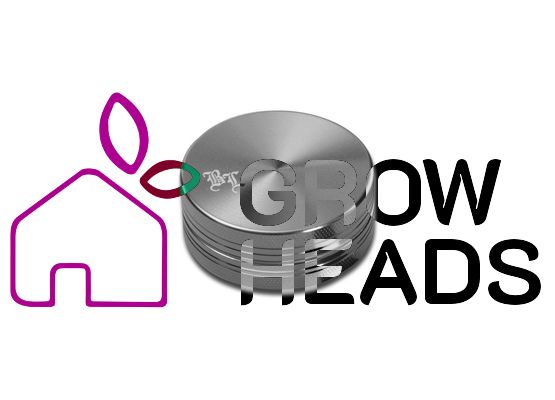 Black Leaf Alu-Grinder 2-tlg. anodisiert 40mm grau