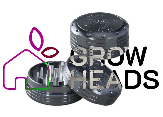 Black Leaf Deep Engraving Grinder 2-tlg. 50mm grau