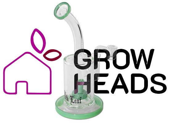 Black Leaf Ölbong Trommelperkolator mit Banger jade