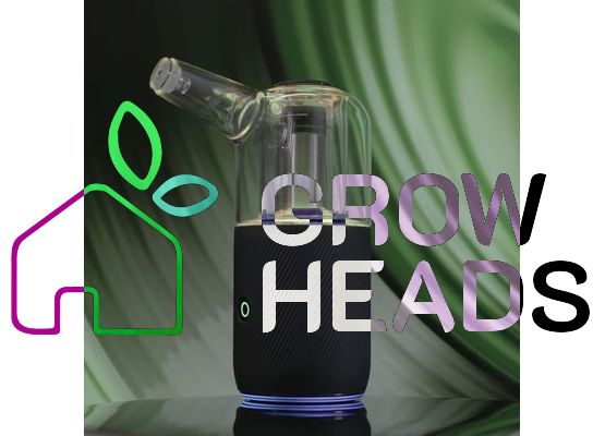 Auxo Cenote Vaporizer E-Rig für Konzentrate 