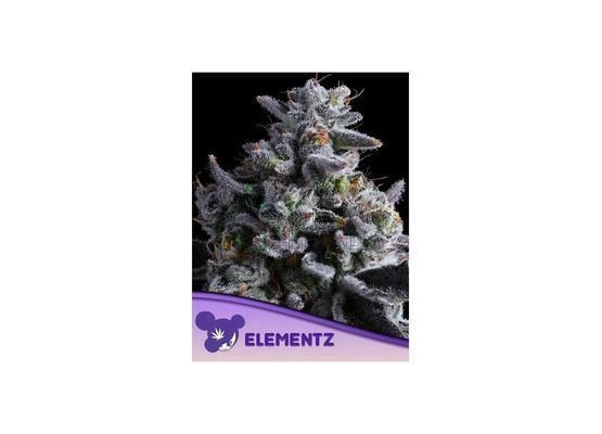 Anesia Seeds Elementz (3)