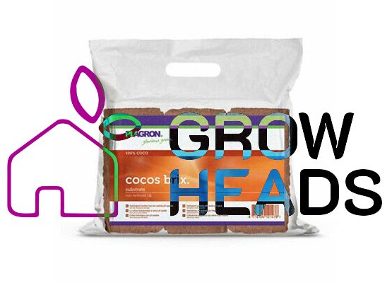 Plagron Cocos Brix 6x9 Liter
