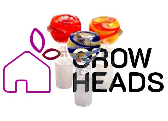 Boost Glass Bowl -Mixed Colors- 18.8mm Kopf 