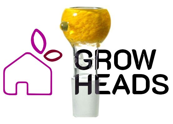 Fumed Boost Glass Bowl - Yellow- 18.8mm - Kopf Boost Gelb