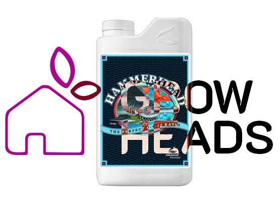Advanced Nutrients Hammerhead 250ml
