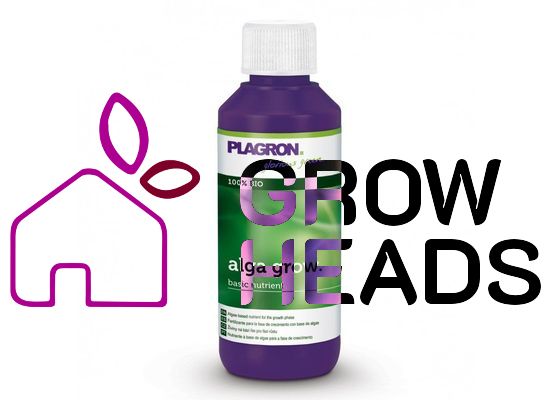 Plagron Alga Grow 100ml