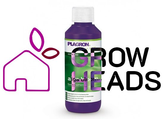 Plagron Alga Bloom 100ml