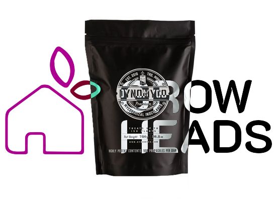 DynoMyco BigPack - 750g