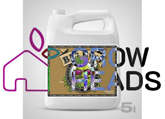 Advanced Nutrients Big Bud Coco 5 Liter