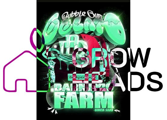 Barneys Farm Bubblegum Gelato (3)