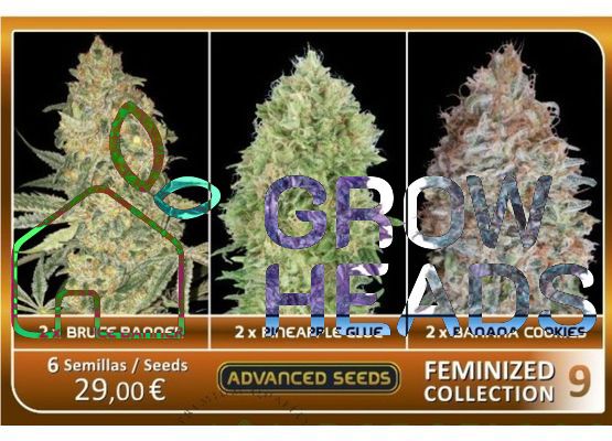 Advanced Seeds - Collection Auto / Fem Mix ( 3 x 2 Seeds)