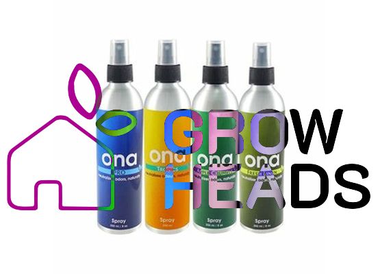 ONA Spray 250ml Fruit Fusion