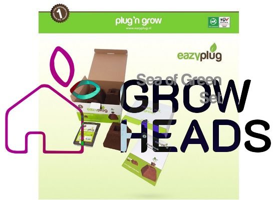 Eazy Plug Sea of Green Set