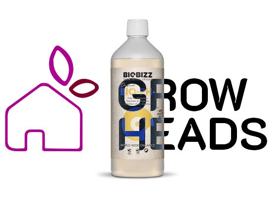 BioBizz pH- 500ml
