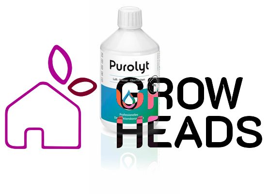 Purolyt Desinfektionskonzentrat 0,5L