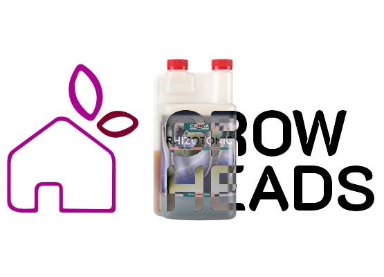Canna Rhizotonic 1,0l