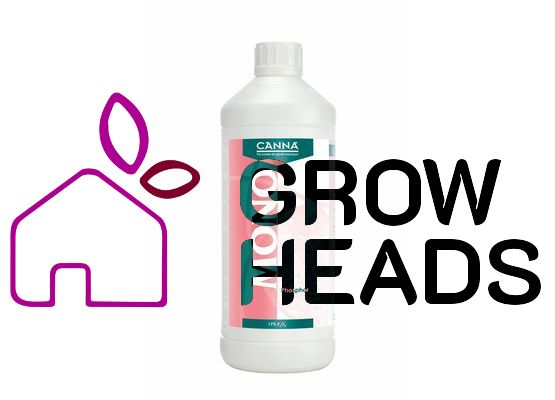 Canna Phosphor (20%) 1,0l