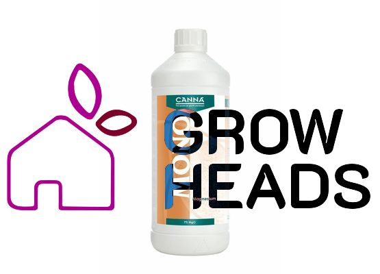 Canna Magnesium (Mg0, 7%) 1,0l