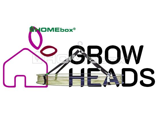 Homebox Drynet 60