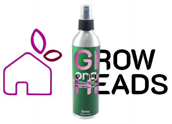 ONA Spray 250ml Apple Crumble