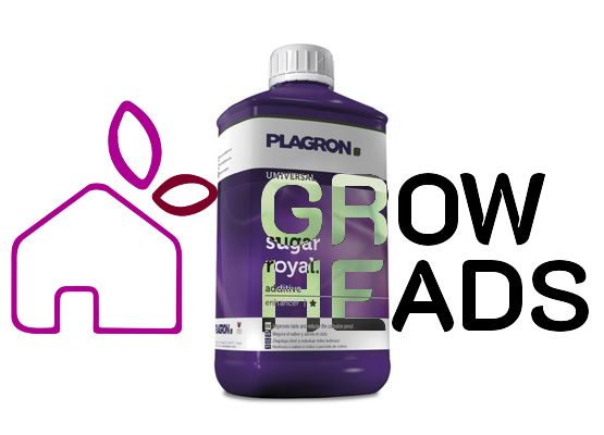 Plagron Sugar Royal 250ml