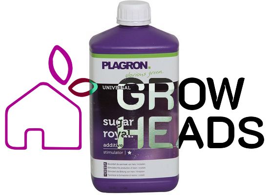 Plagron Sugar Royal 1,0l