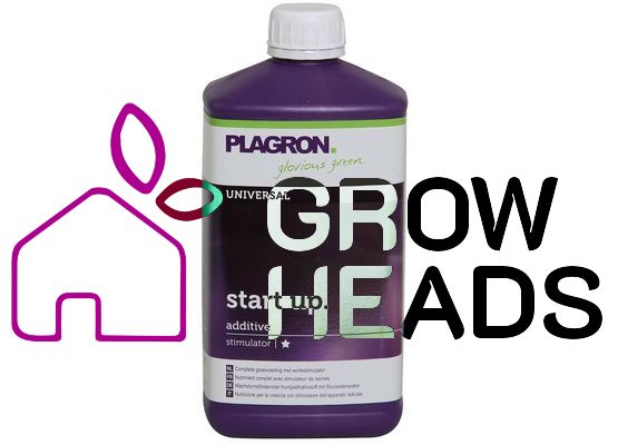 Plagron Start Up 500ml