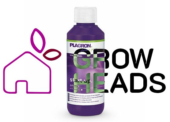Plagron Start Up 100ml