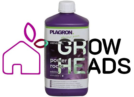 Plagron Power Roots 500ml
