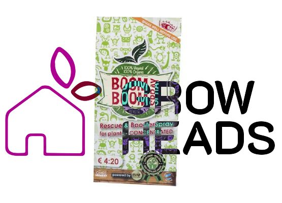BioTabs Boom Boom Spray 5ml Beutel