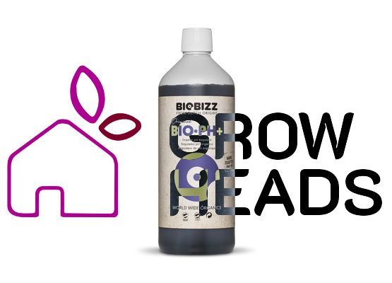 BioBizz pH+ 1,0l