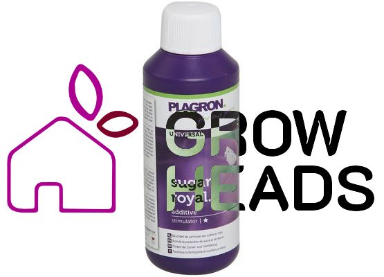 Plagron Sugar Royal 100ml