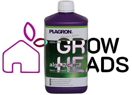 Plagron Alga Bloom 1,0l