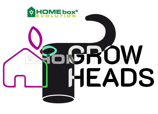 HOMEbox Plastikhaken lang 4 Stk. für 16mm Poles
