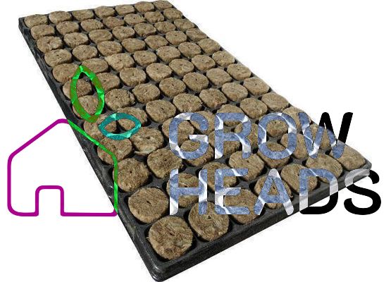 Speedgrow Green 84er Tray Ø38mm / 40mm