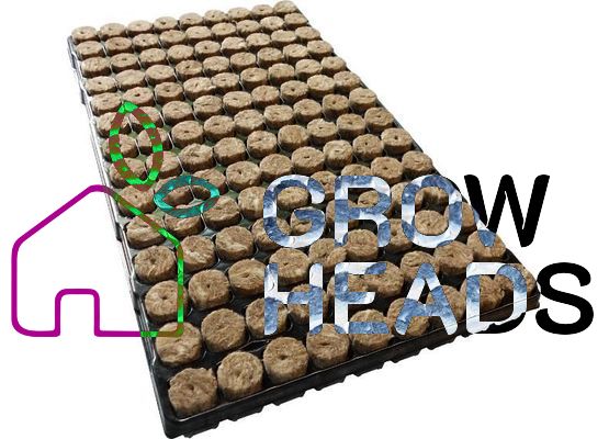 Speedgrow Green, 28/40, mit 126 Anzuchtwürfel