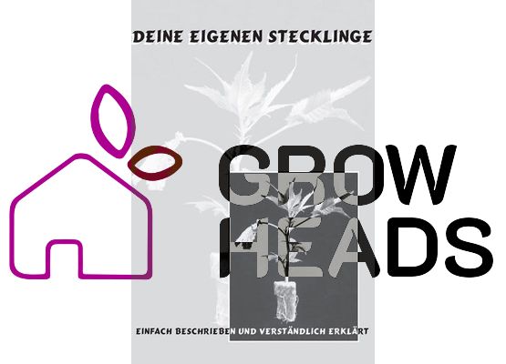 Deine eigenen Stecklinge