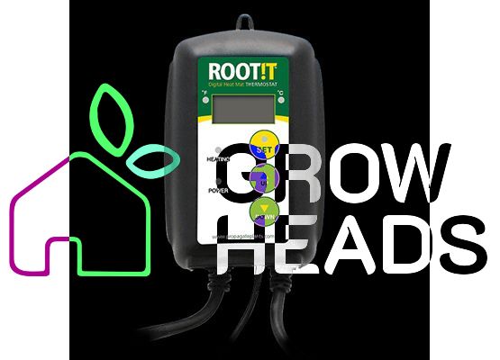 ROOT!T Thermostat für Heizmatten, EU Schuko max. 1000W