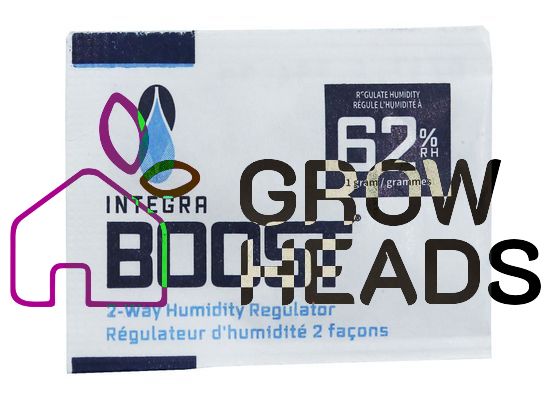 Integra Boost 62% 1g
