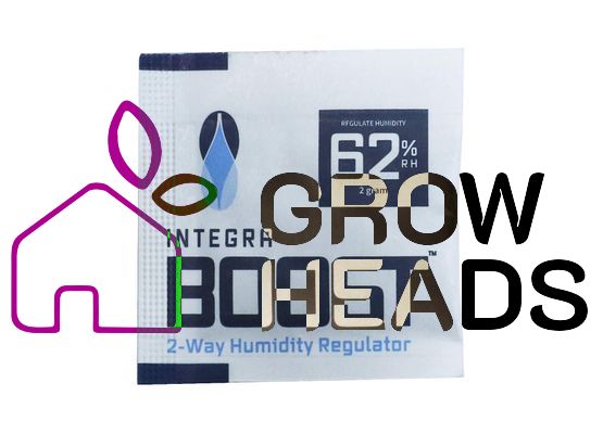 Integra Boost 62% 2g