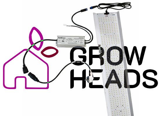 2x hortiONE 600 LED, 220W = 440W
