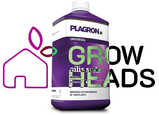 Plagron Silic Rock 250ml